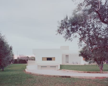 Olive House